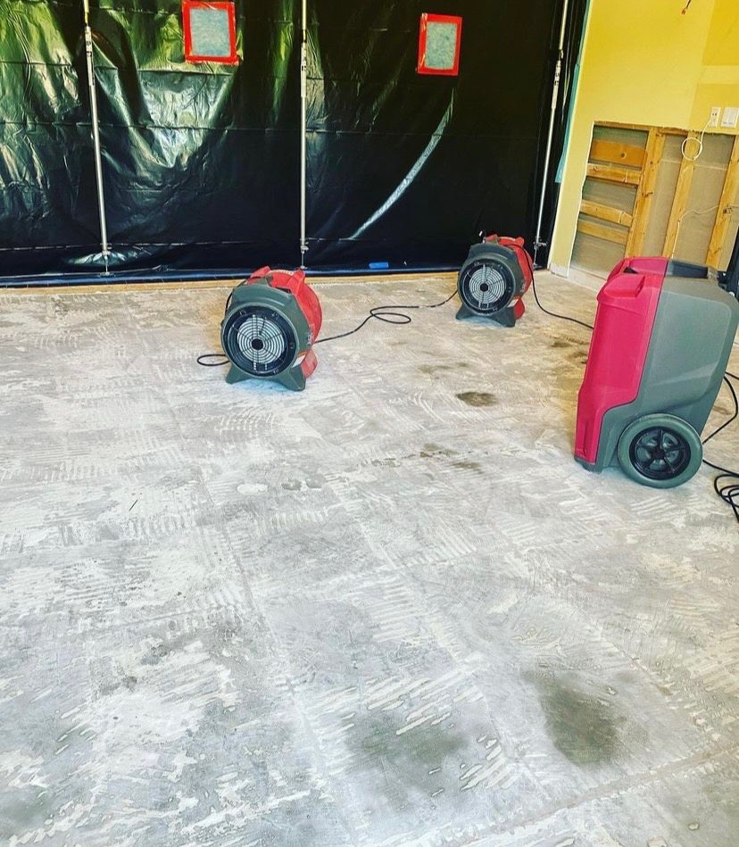 Flooring stripped back to the concrete slab behind black containment sheeting, with air movers running to keep dust under control.